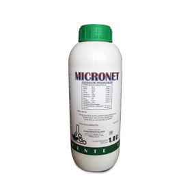 micronet
